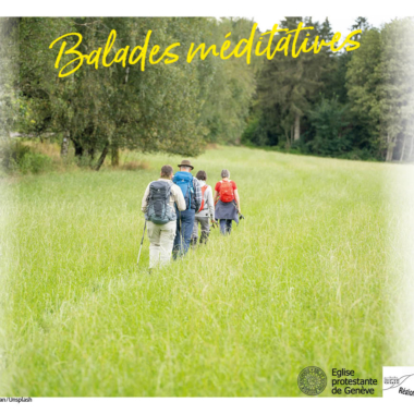 Balades méditatives Région Plateau-Champagne